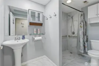 Main bath with roll in shower and grab bars
