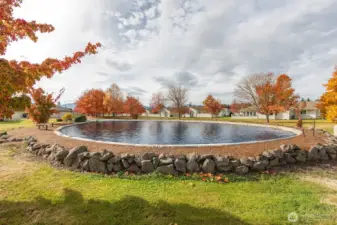 View to Pond (Water Staged)