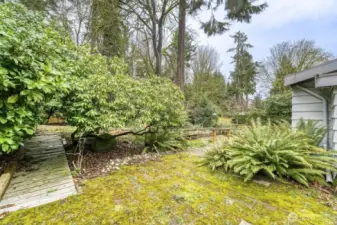 Walking paths around the yard