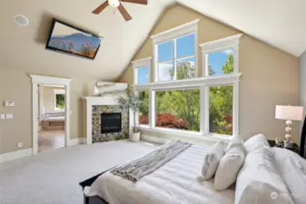 Primary retreat...cozy gas fireplace, gorgeous windows with electric shades, ceiling mounted tv. for movies.