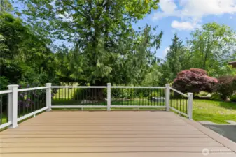 Gorgeous Trex deck