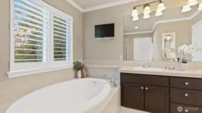 5 piece bathroom retreat with a soaking tub and HUGE walk in closet