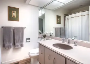 Full hall bathroom