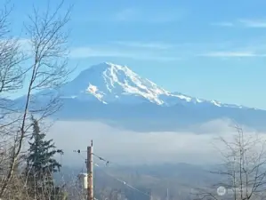 It looks even better relaxing with your morning cup of coffee!