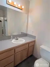 primary bathroom