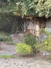 back yard