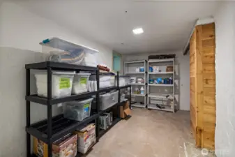 Tons of storage/work space in basement