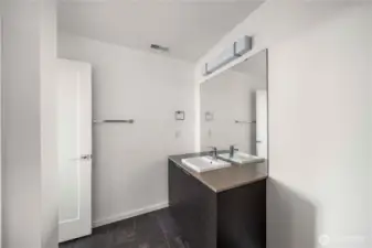 Lower level bathroom