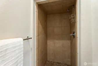 Walk-in Shower