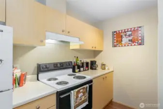 Kitchen range with vent hood and generous cabinet storage