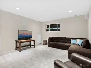 Large lower-level family room/game room