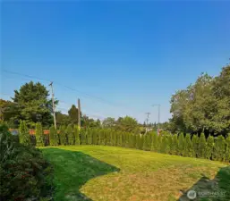 Spacious front yard