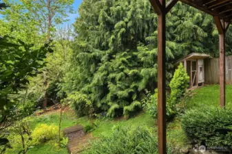 East-facing front yard patio framed by mature trees and a private metal gate offers a peaceful entrance.