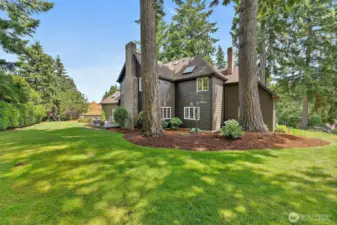 Spacious Backyard