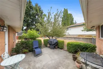 Concrete patio bordered by low hedges and an established apple tree.