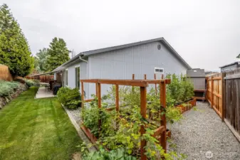Raised beds with irrigation