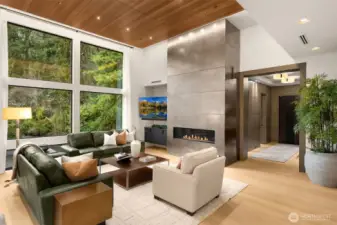 Mottled nickel finish, floor to ceiling fireplace surround panels.