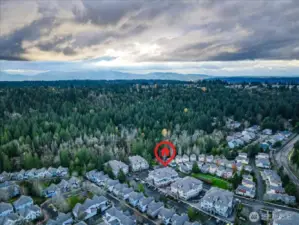 Restaurants, shopping, the lake are all so close!