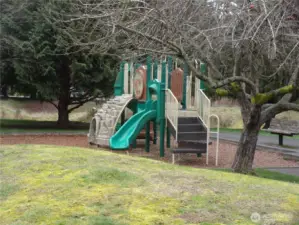 A place for the young and young at heart to play.