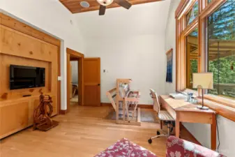 Bright third bedroom upstairs with Murphy bed, generous closet, and abundant natural light from multiple windows.