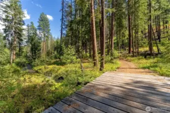 Seamless access to Nordic skiing, mountain biking, and hiking right out your door.