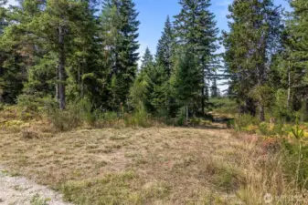 The entrance to the property off of Ridgeview, it's a long gravel driveway that takes you a top where the building site was cleared in 2020.