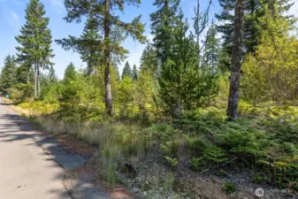Access easement off for Carney Lake Rd. You'll see the approach and a wire rope.