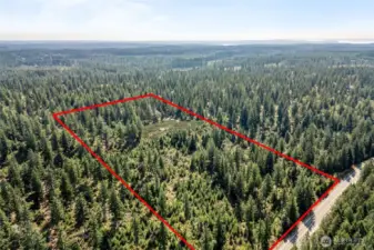 Currently the property has a forestry tax designation. Keep or dislove as you need.