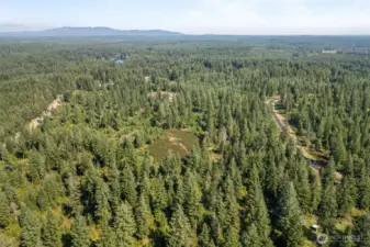 Granted access to riding trails and hiking via the neighboring tree farm.