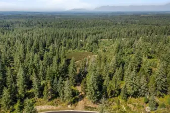 Olympic Mts sit just behind the building site! This photo looks down at the driveway access off of Ridgeview Dr.