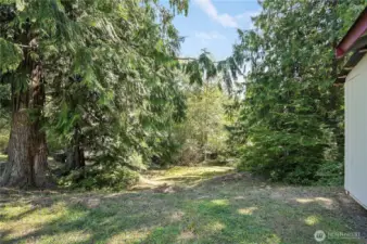 Large sloping yard.
