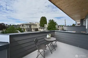 The Primary Suite view deck is super cool.
