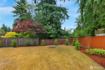 Backyard with firepit