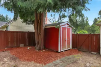 Outdoor shed in backyard