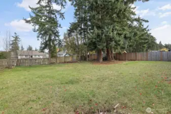 Fully Fenced Back Yard