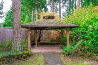 Gazebo perfect for outdoor kitchen.