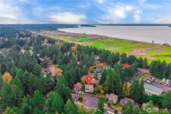 Live walking distance to Grandview Drive walking and biking, Chambers Bay and Puget Sound views.