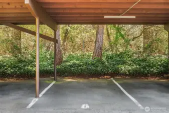 Carport Assigned stall #6 parking