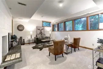 Lower level family room