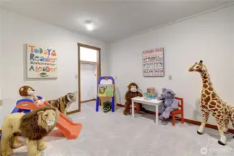 Lower level 3rd bedroom