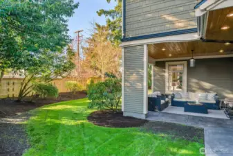 A look at the back yard and the covered patio area off the kitchen