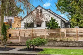 Lots of green in the spring and summer will fill in.