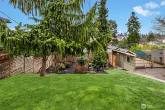 Large backyard area for fun and games.