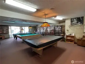 Pool table room w/library