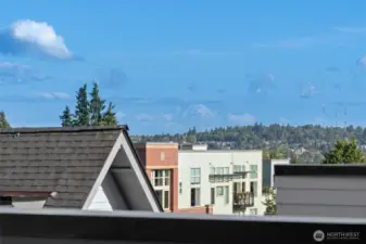 Mt Rainer views