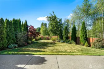 Backyard/Patio 1