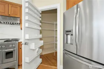 Large walk-in kitchen pantry