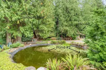 Shimmering little oasis where frogs sing, birds gather, and wildflowers nod along the banks. Peaceful to look at, magical to stumble upon—these ponds are pure backyard poetry.
