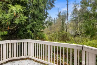 Private Deck with Storage