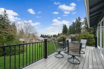 Trex Deck off living room